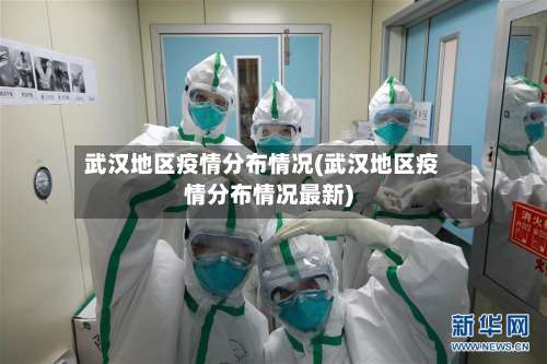 武汉地区疫情分布情况(武汉地区疫情分布情况最新)-第1张图片