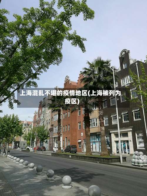 上海混乱不堪的疫情地区(上海被列为疫区)-第3张图片