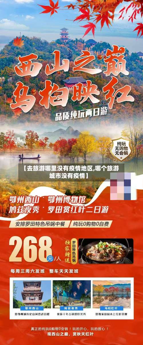 【去旅游哪里没有疫情地区,哪个旅游城市没有疫情】-第1张图片