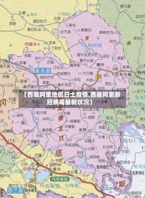 【西藏阿里地区日土疫情,西藏阿里新冠病毒最新状况】-第2张图片