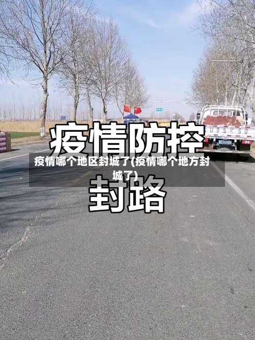 疫情哪个地区封城了(疫情哪个地方封城了)-第3张图片