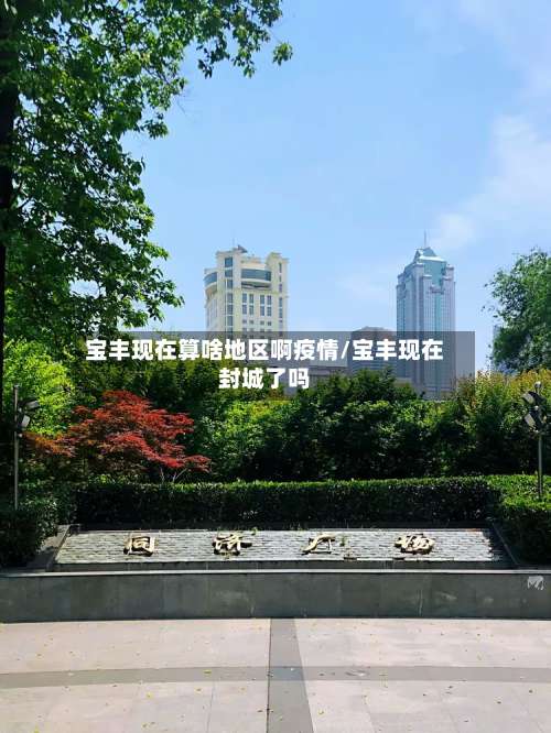 宝丰现在算啥地区啊疫情/宝丰现在封城了吗-第3张图片