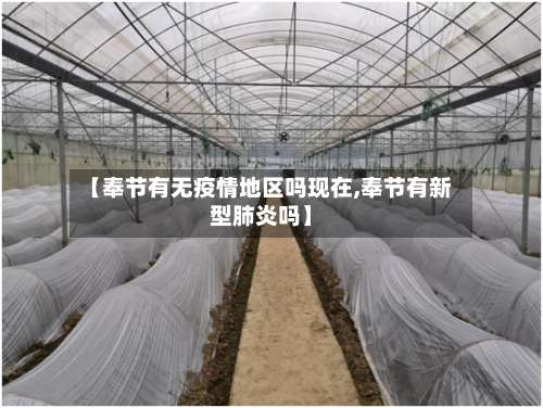 【奉节有无疫情地区吗现在,奉节有新型肺炎吗】-第2张图片